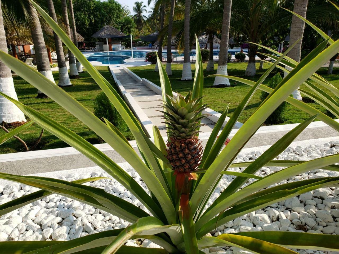 Hotel y Club Campestre Altos Paraiso Puerto Escondido  Exterior foto