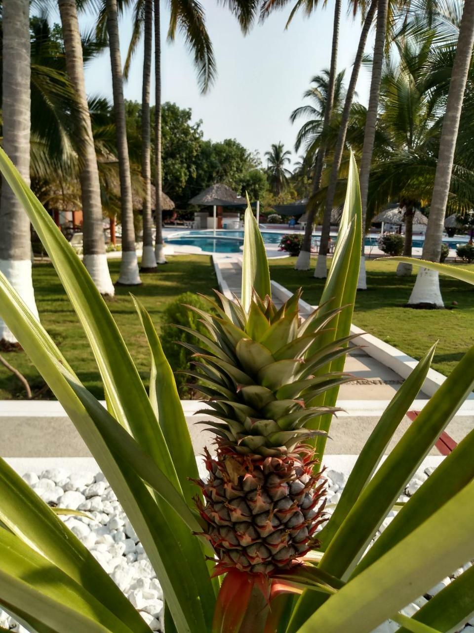 Hotel y Club Campestre Altos Paraiso Puerto Escondido  Exterior foto